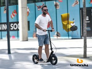 D019 best adult kickscooter