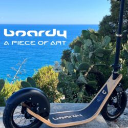 A Piece Of Art You Can Ride what is boardy? a piece of art on a wooden frame