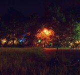 a softly lit boardy scooter among overgrown grass and distant glows